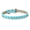 Collar Elegante para Perros y Gatos Pequeños