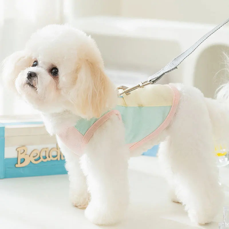 Chaleco Fresco para Perros y gatos