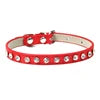 Collar Elegante para Perros y Gatos Pequeños