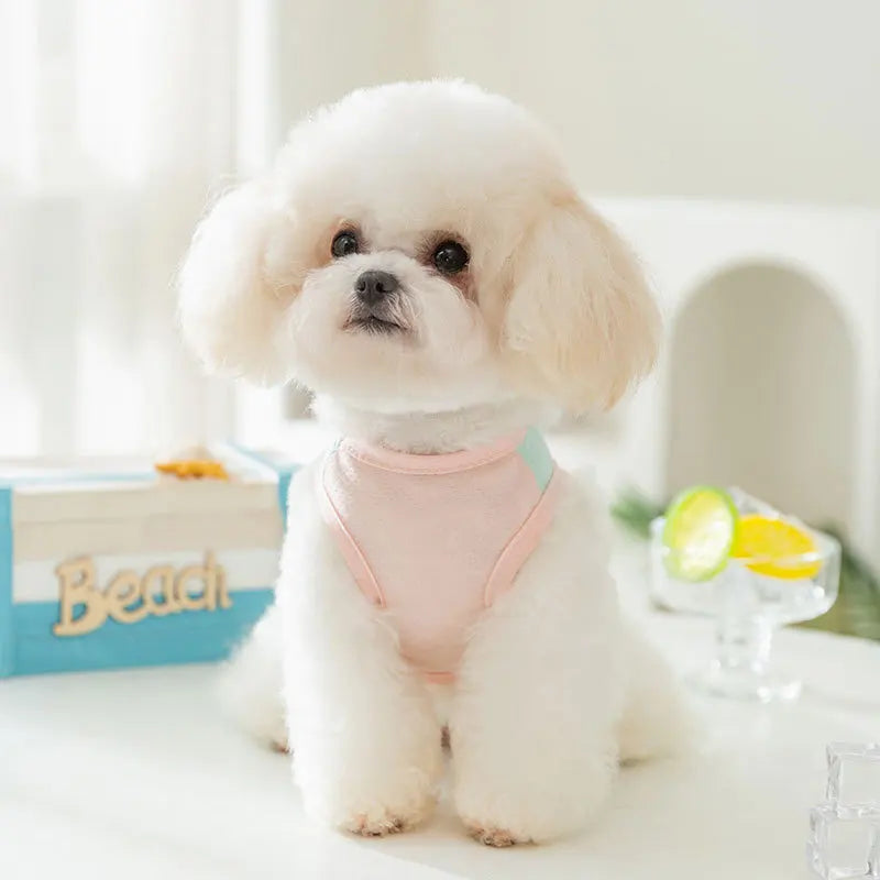 Chaleco Fresco para Perros y gatos