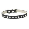 Collar Elegante para Perros y Gatos Pequeños