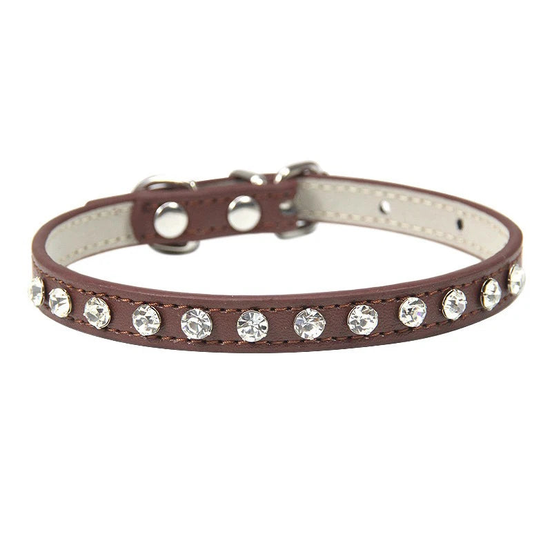 Collar Elegante para Perros y Gatos Pequeños