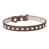 Collar Elegante para Perros y Gatos Pequeños