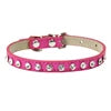 Collar Elegante para Perros y Gatos Pequeños