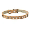 Collar Elegante para Perros y Gatos Pequeños