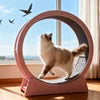 Customizable Cat Treadmill Eco-Friendly Corrugated MDF Material Modern-Classic Luxury Design Pet Interactive Movement ToySilent