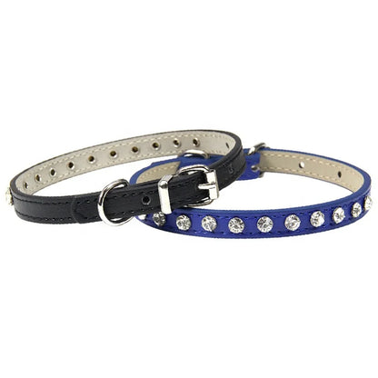 Collar Elegante para Perros y Gatos Pequeños