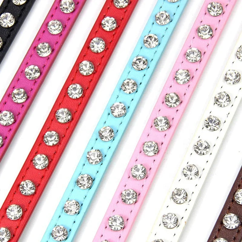 Collar Elegante para Perros y Gatos Pequeños