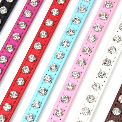 Collar Elegante para Perros y Gatos Pequeños