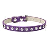 Collar Elegante para Perros y Gatos Pequeños
