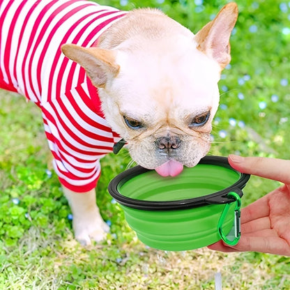 Plato Portátil para Perros