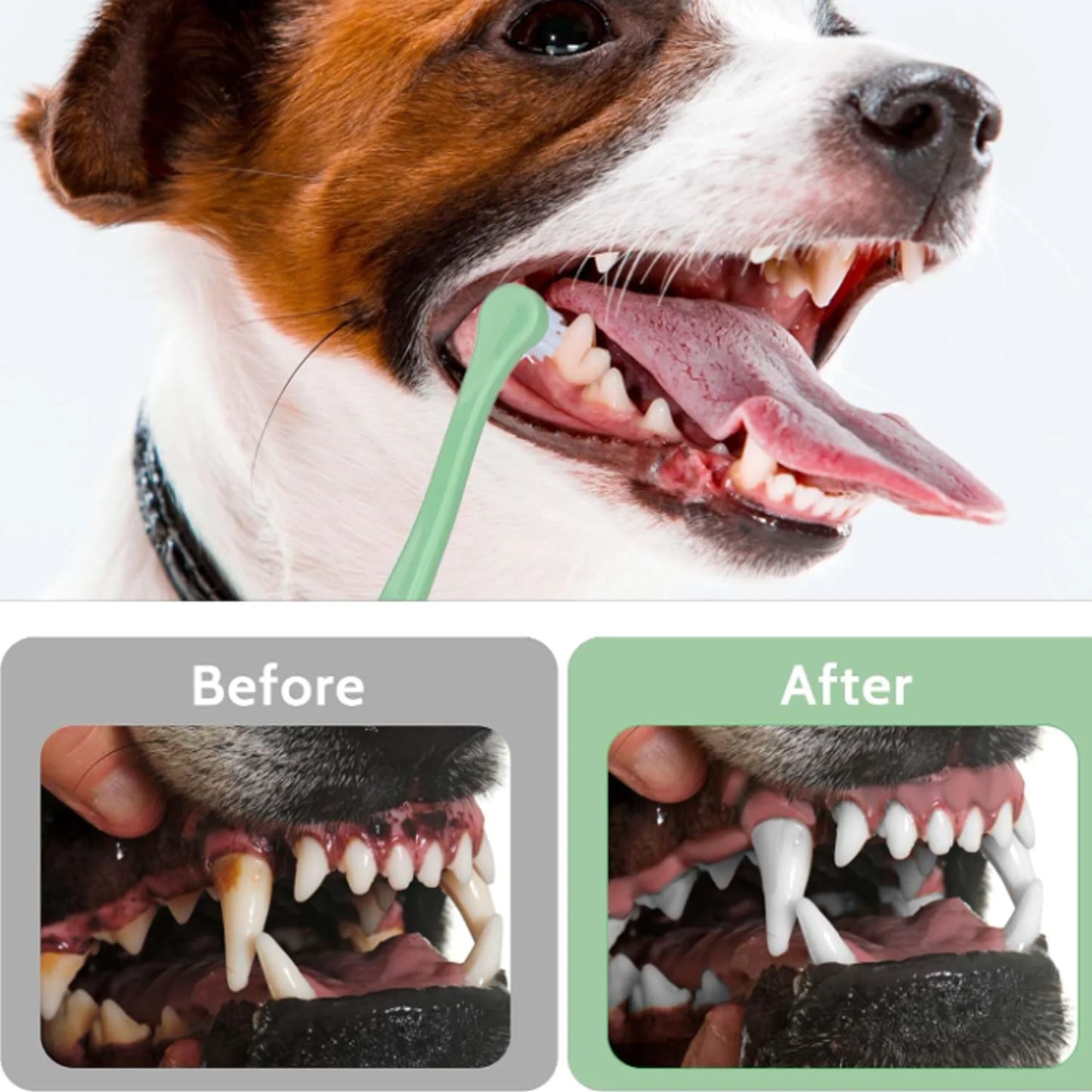 Set de 3 Cepillos Dentales para Mascotas