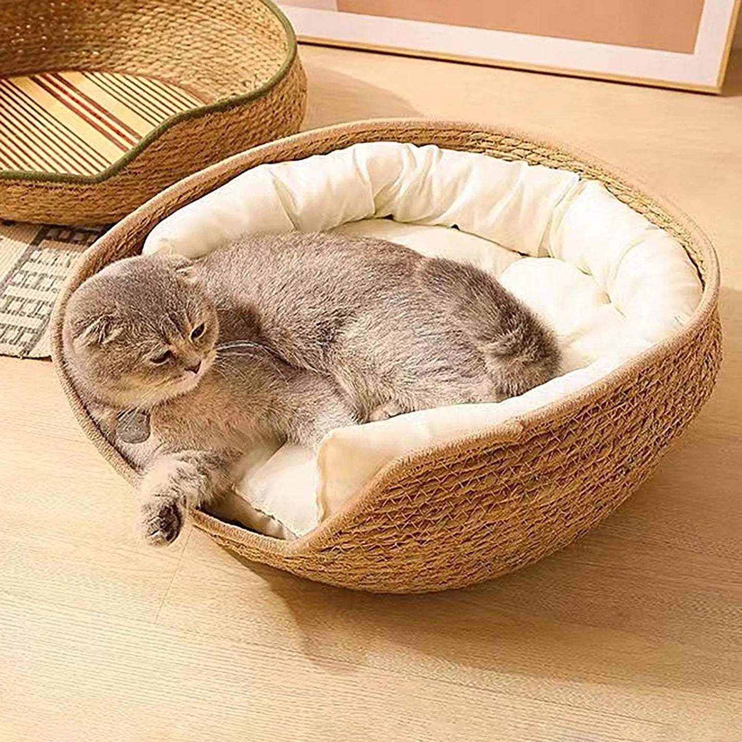Cama Redonda para Gatos - Cómoda y Todo Clima