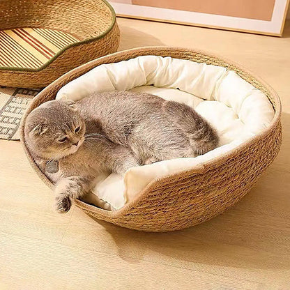 Cama Redonda para Gatos - Cómoda y Todo Clima